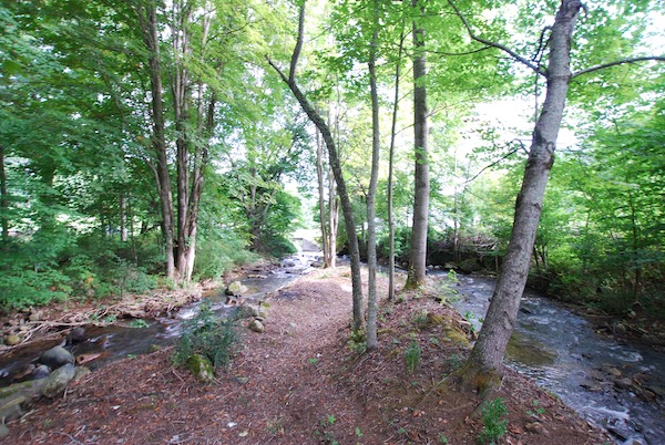 Yard After Renovation